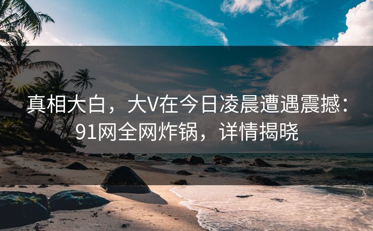 真相大白，大V在今日凌晨遭遇震撼：91网全网炸锅，详情揭晓