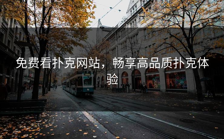 免费看扑克网站，畅享高品质扑克体验