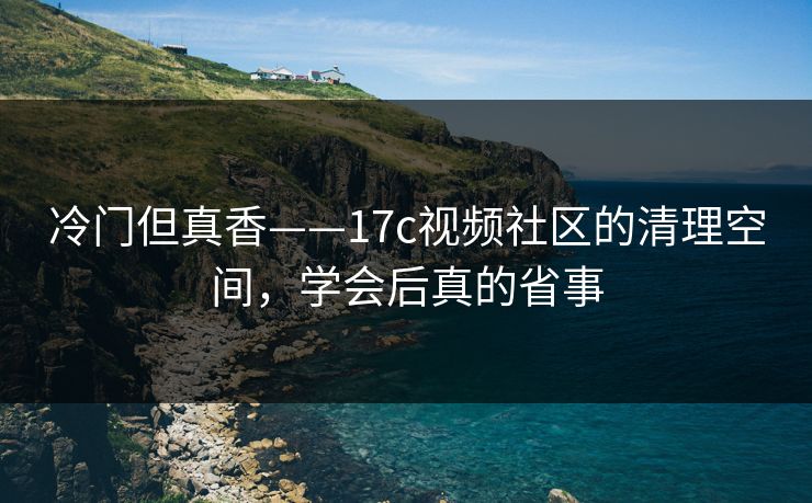 冷门但真香——17c视频社区的清理空间，学会后真的省事