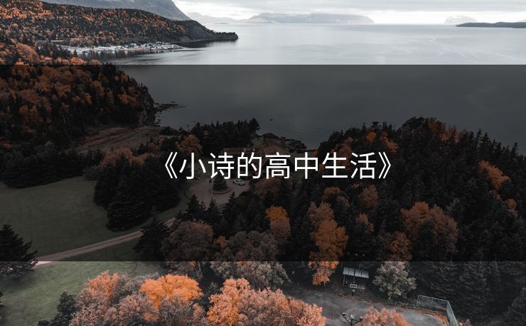 《小诗的高中生活》