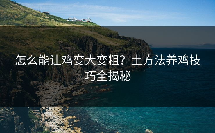 怎么能让鸡变大变粗？土方法养鸡技巧全揭秘